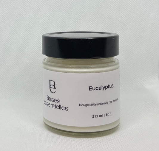 Bougie eucalyptus